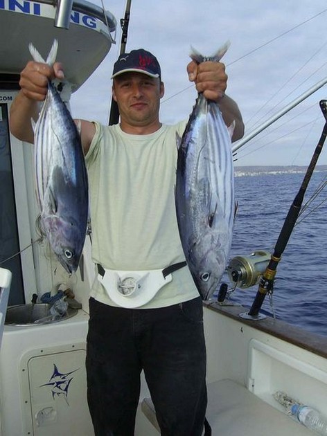 skipjack tuna Cavalier & Blue Marlin Sport Fishing Gran Canaria
