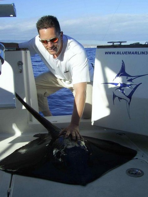 common stingray Cavalier & Blue Marlin Sport Fishing Gran Canaria