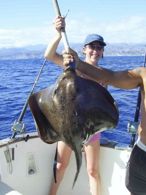 roughtail stingray Cavalier & Blue Marlin Sport Fishing Gran Canaria