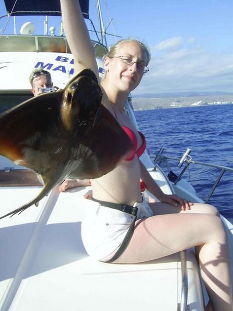 eagle ray Cavalier & Blue Marlin Sport Fishing Gran Canaria