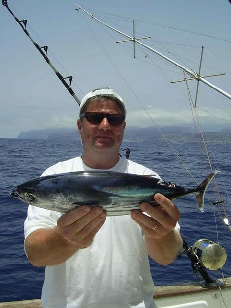 skipjack tuna Cavalier & Blue Marlin Sport Fishing Gran Canaria