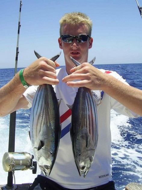 skipjack tuna Cavalier & Blue Marlin Sport Fishing Gran Canaria