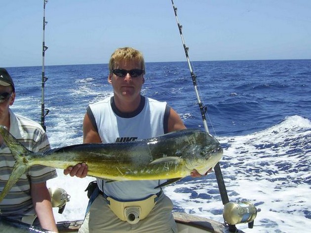 dorado Cavalier & Blue Marlin Sport Fishing Gran Canaria