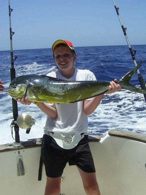 dorado Cavalier & Blue Marlin Sport Fishing Gran Canaria