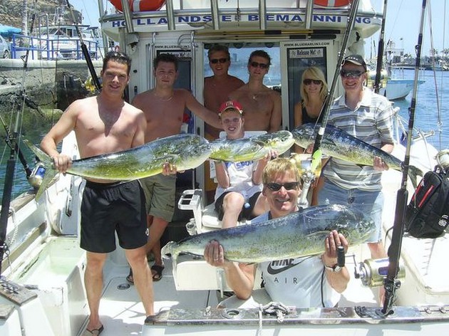 dorado Cavalier & Blue Marlin Sport Fishing Gran Canaria