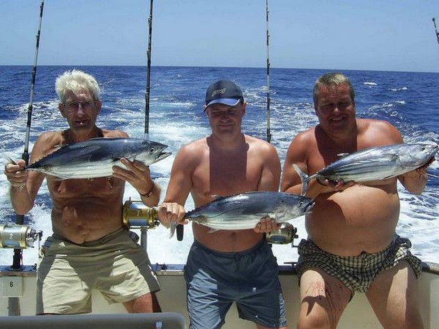 skipjack tuna Cavalier & Blue Marlin Sport Fishing Gran Canaria