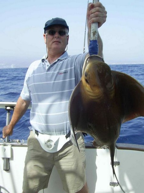 cownose ray Cavalier & Blue Marlin Sport Fishing Gran Canaria