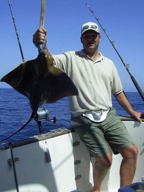 eagle ray Cavalier & Blue Marlin Sport Fishing Gran Canaria