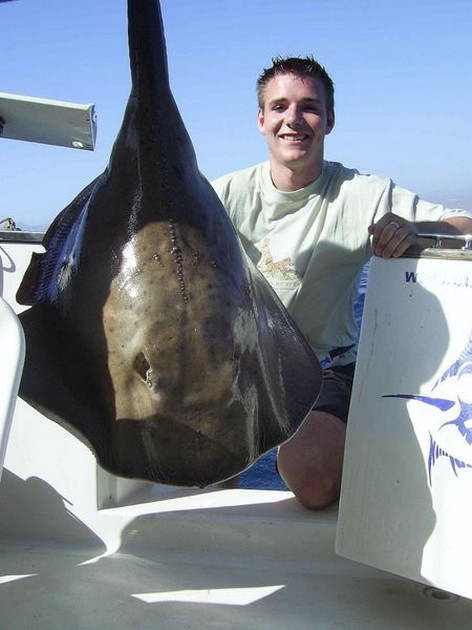 roughtail stingray Cavalier & Blue Marlin Sport Fishing Gran Canaria