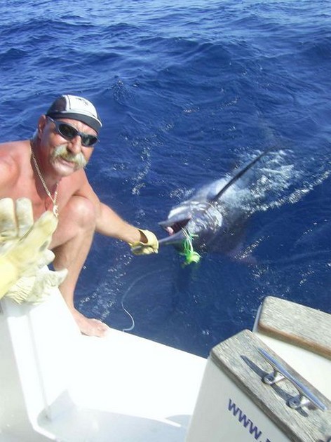 blue marlin Cavalier & Blue Marlin Sport Fishing Gran Canaria