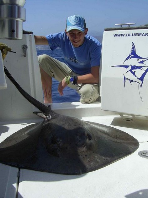 round stingray Cavalier & Blue Marlin Sport Fishing Gran Canaria