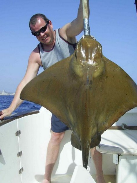 eagle ray Cavalier & Blue Marlin Sport Fishing Gran Canaria