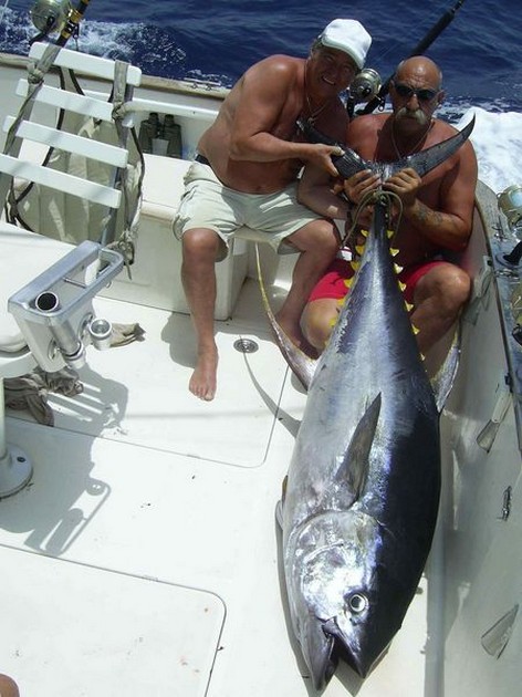 yellow fin tuna Cavalier & Blue Marlin Sport Fishing Gran Canaria