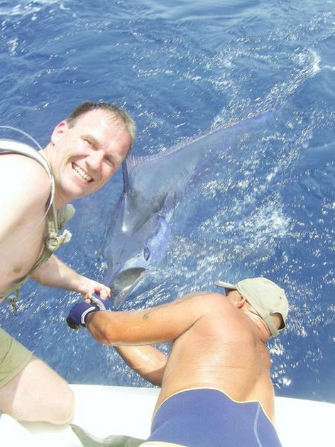 hooked up Cavalier & Blue Marlin Sport Fishing Gran Canaria