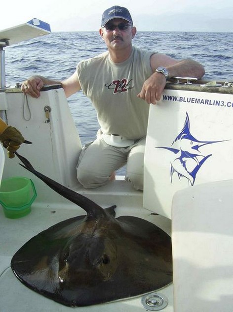 common stingray Cavalier & Blue Marlin Sport Fishing Gran Canaria