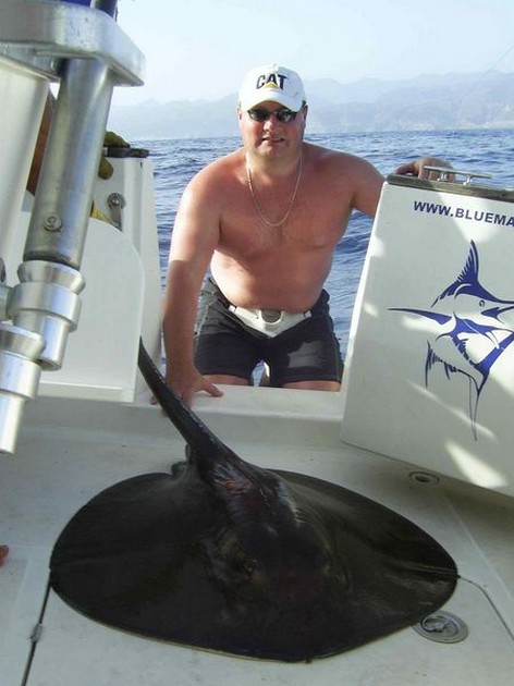 round stingray Cavalier & Blue Marlin Sport Fishing Gran Canaria