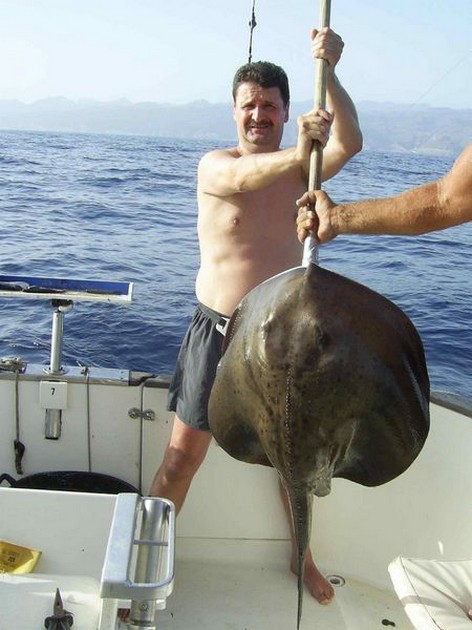 roughtail stingray Cavalier & Blue Marlin Sport Fishing Gran Canaria