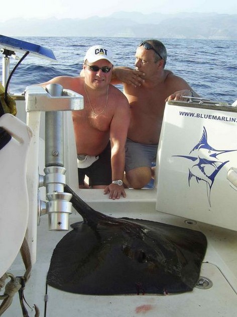 common stingray Cavalier & Blue Marlin Sport Fishing Gran Canaria