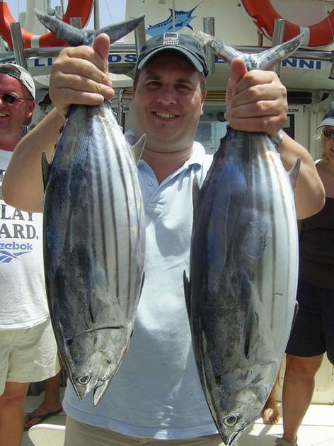 skipjack tuna Cavalier & Blue Marlin Sport Fishing Gran Canaria