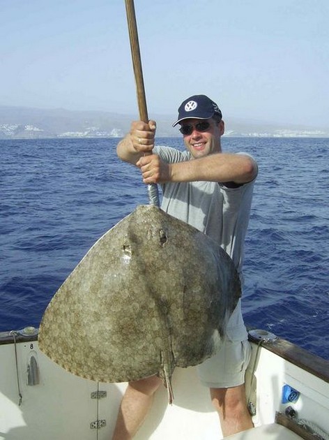 butterfly ray Cavalier & Blue Marlin Sport Fishing Gran Canaria