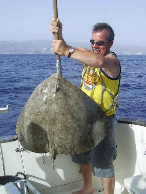 butterfly ray Cavalier & Blue Marlin Sport Fishing Gran Canaria