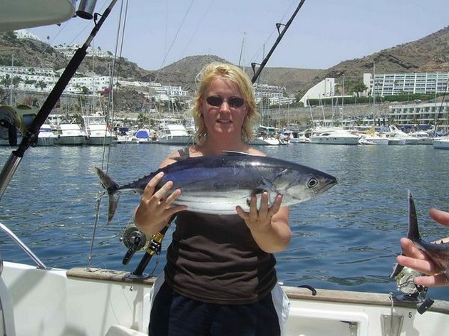 skipjack tuna Cavalier & Blue Marlin Sport Fishing Gran Canaria