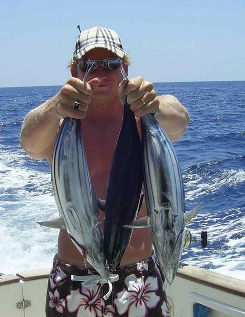 skipjack tuna Cavalier & Blue Marlin Sport Fishing Gran Canaria