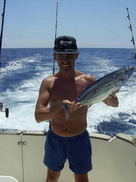skipjack tuna Cavalier & Blue Marlin Sport Fishing Gran Canaria