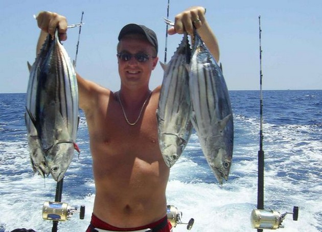 skipjack tuna Cavalier & Blue Marlin Sport Fishing Gran Canaria