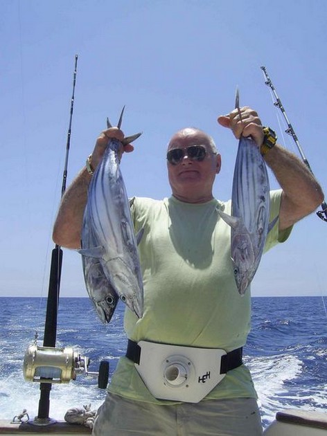 skipjack tuna Cavalier & Blue Marlin Sport Fishing Gran Canaria