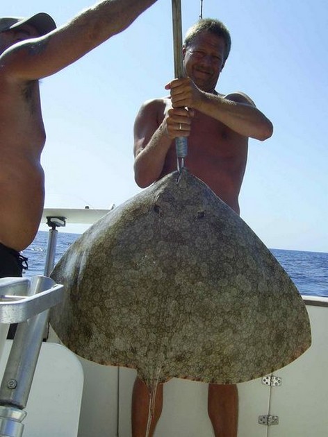 butterfly ray Cavalier & Blue Marlin Sport Fishing Gran Canaria