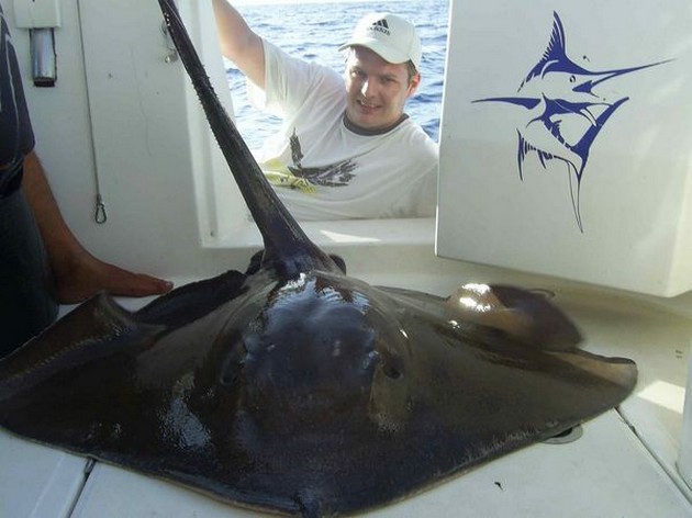 common stingray Cavalier & Blue Marlin Sport Fishing Gran Canaria