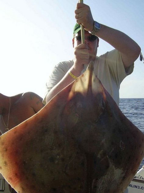 thornback ray Cavalier & Blue Marlin Sport Fishing Gran Canaria