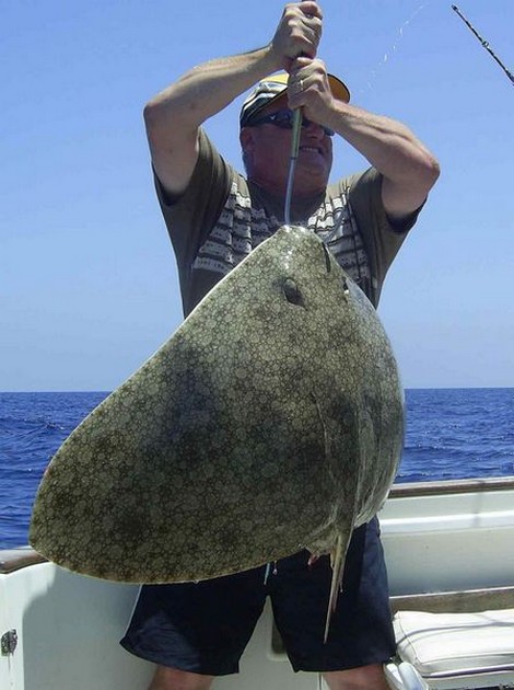 butterfly ray Cavalier & Blue Marlin Sport Fishing Gran Canaria