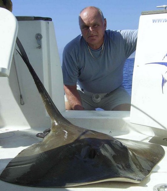 common stingray Cavalier & Blue Marlin Sport Fishing Gran Canaria