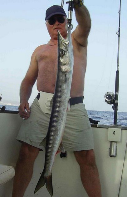 baracuda Cavalier & Blue Marlin Sport Fishing Gran Canaria