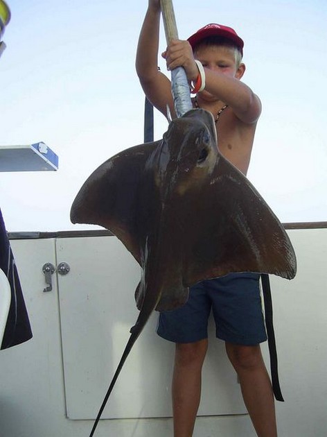 eagle ray Cavalier & Blue Marlin Sport Fishing Gran Canaria