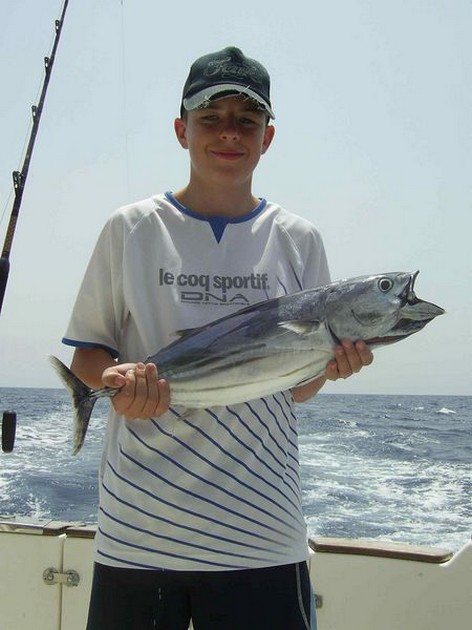 skipjack tuna Cavalier & Blue Marlin Sport Fishing Gran Canaria