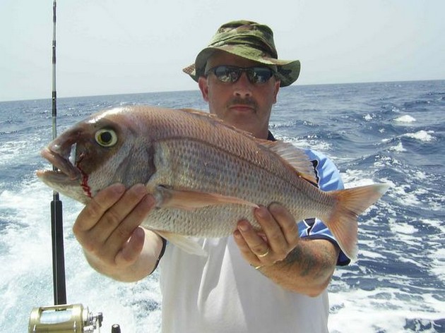 red snapper Cavalier & Blue Marlin Sport Fishing Gran Canaria