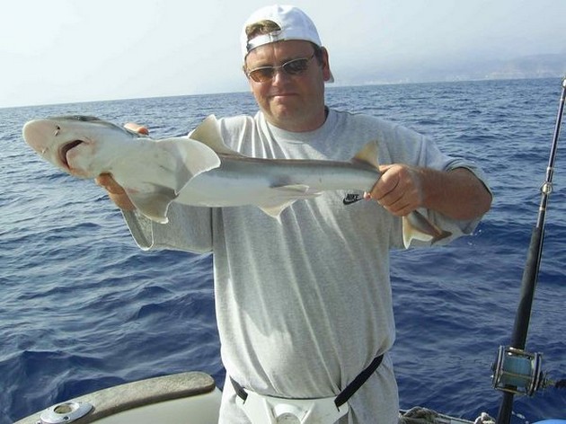 smooth hound Cavalier & Blue Marlin Sport Fishing Gran Canaria