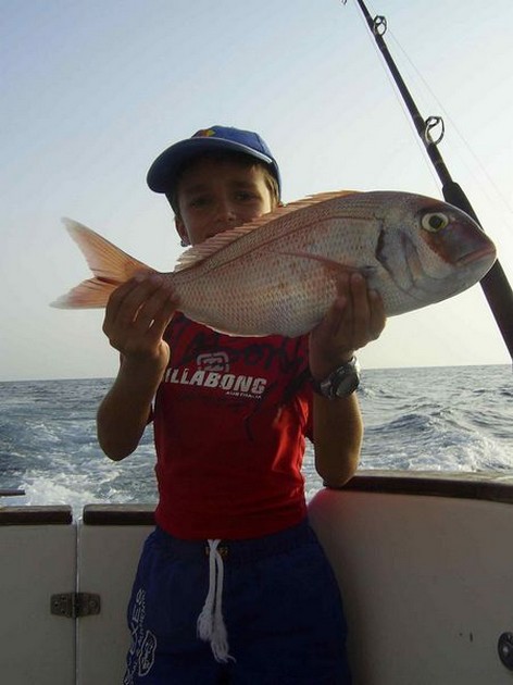 red snapper Cavalier & Blue Marlin Sport Fishing Gran Canaria