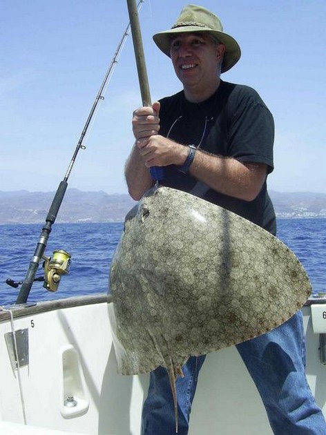 butterfly ray Cavalier & Blue Marlin Sport Fishing Gran Canaria