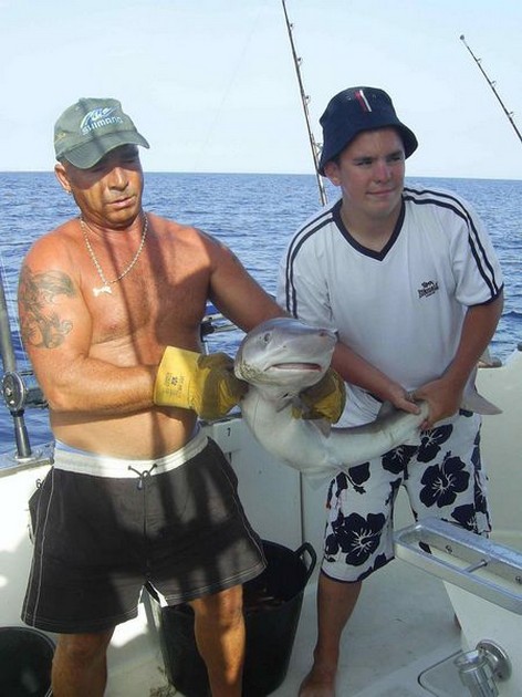 smooth hound Cavalier & Blue Marlin Sport Fishing Gran Canaria