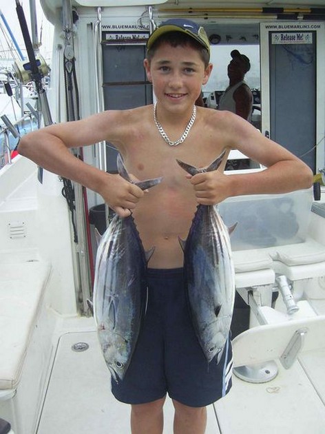 skipjack tuna Cavalier & Blue Marlin Sport Fishing Gran Canaria