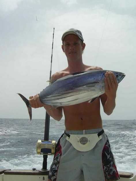 skipjack tuna Cavalier & Blue Marlin Sport Fishing Gran Canaria