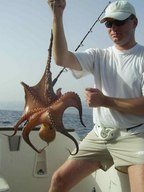octopus Cavalier & Blue Marlin Sport Fishing Gran Canaria