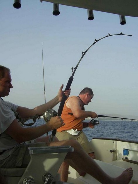 hooked up Cavalier & Blue Marlin Sport Fishing Gran Canaria