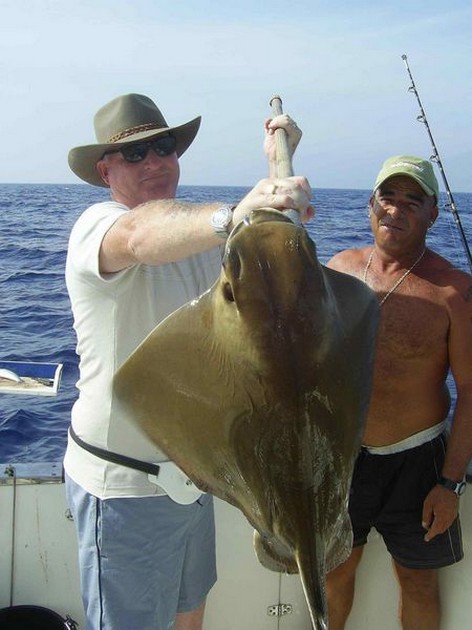cownose ray Cavalier & Blue Marlin Sport Fishing Gran Canaria