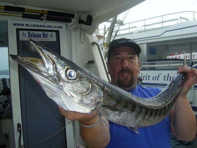 baracuda Cavalier & Blue Marlin Sport Fishing Gran Canaria