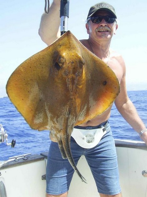common stingray Cavalier & Blue Marlin Sport Fishing Gran Canaria